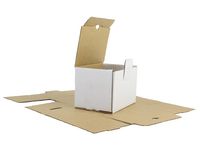 Wellåda 300x200x120mm vit ES72