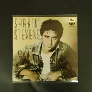 10-tum ficka PP för bl a stenkakor 100-pack