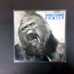 LP-ficka 325x325mm PE