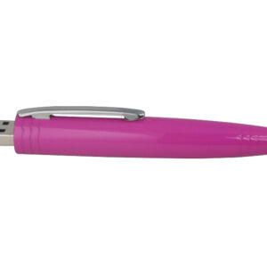 USB-minne Penna P19